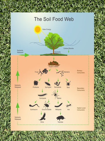 Soil Microbe Analysis and 12 Month Program